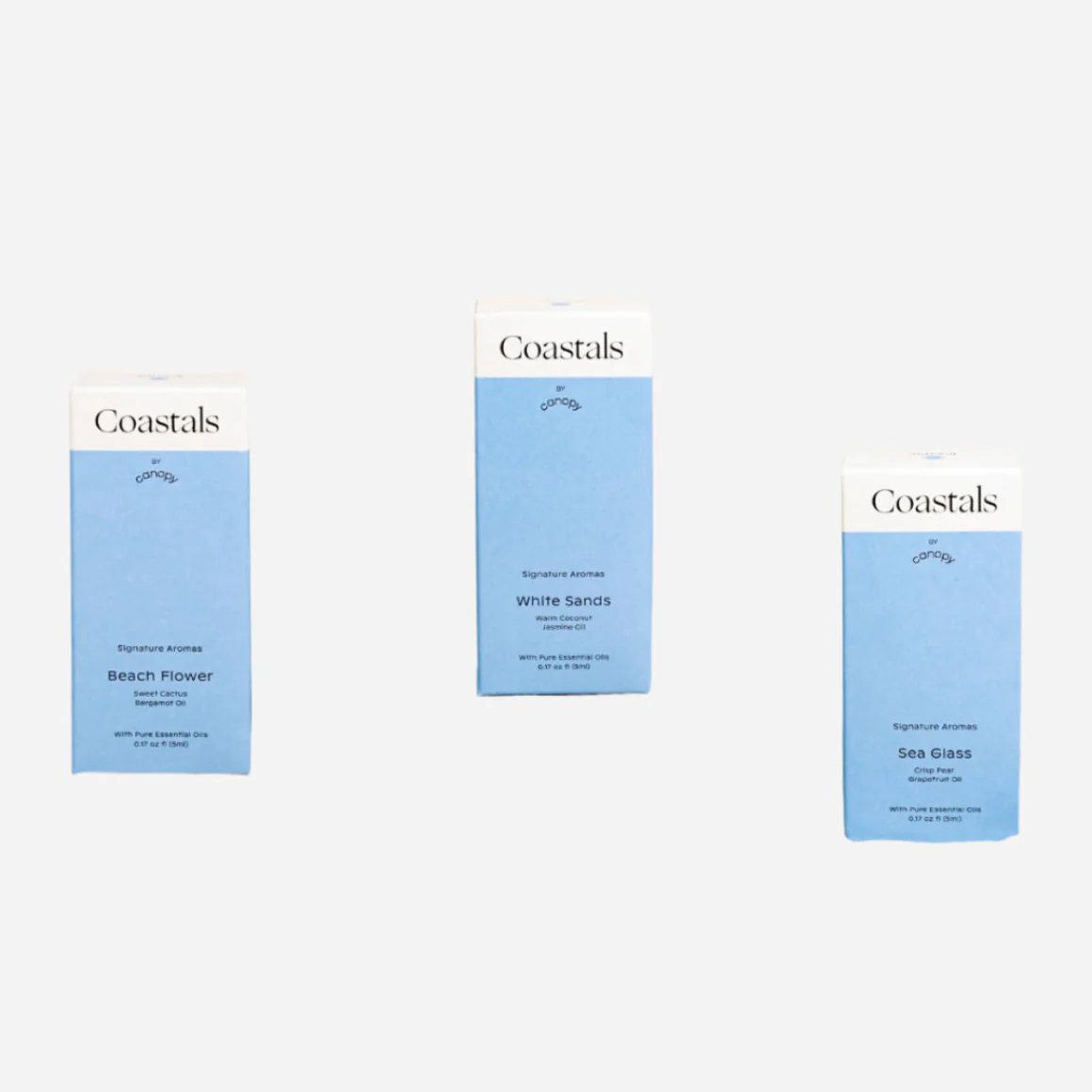 Large Room Humidifier - Image 5