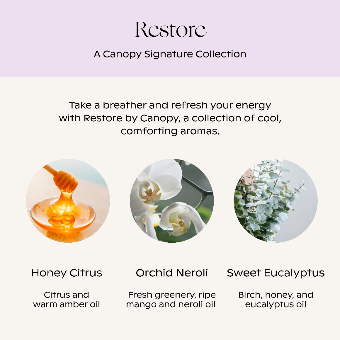 Restore Essential Oil Aroma Kit - Image 4